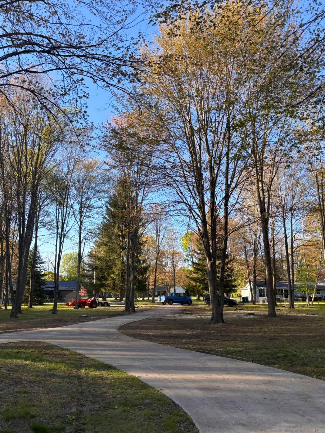 Clean driveway and lot after a full tree removal and cleanup