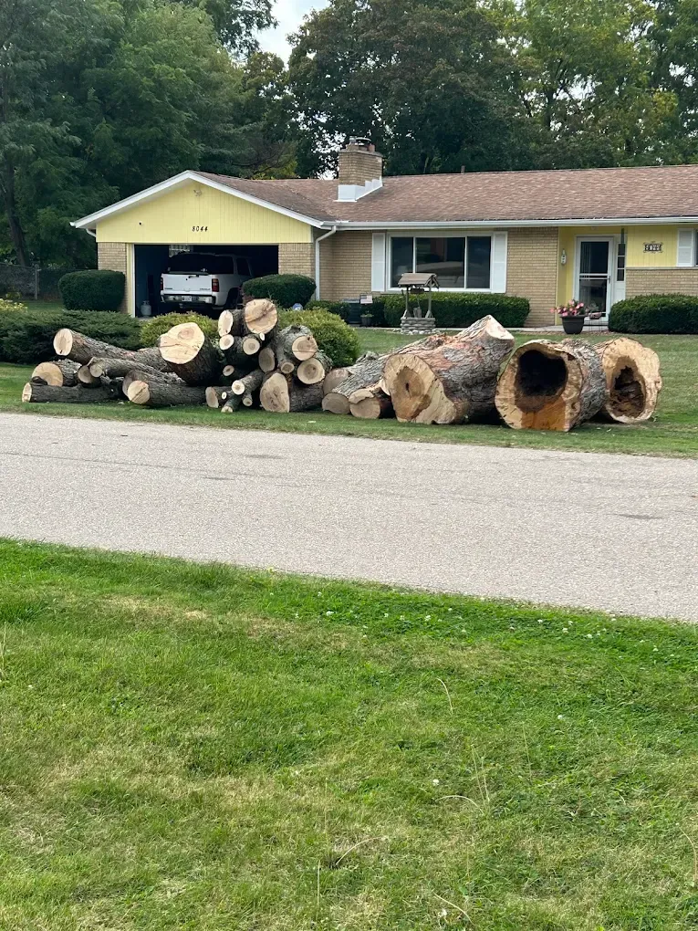 Cut logs and cleaned yard after a professional tree removal job